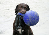 Jolly Pets Hundeball Tug-n-Toss, Heidelbeere, Vanilleduft, Ø 15 cm