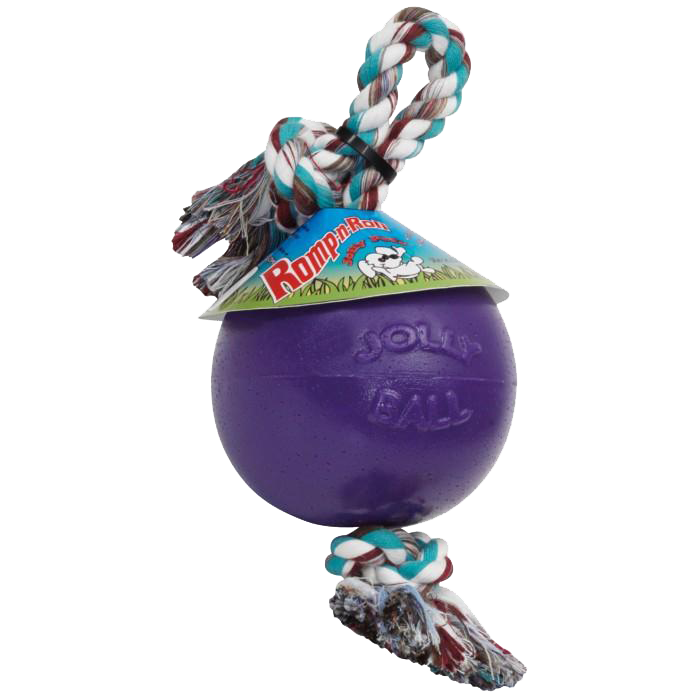 Jolly Pets Hundespielzeug Romp-n-Roll, Violett, L, Ø 20 cm