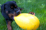 Jolly Hundespielzeug Ei, Gelb, 30 cm