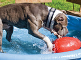 Jolly Egg Hundespielzeug, violett, S, 20 cm