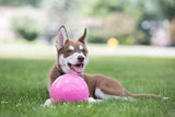 Jolly Pets Bounce-n Play Hundeball rosa schwimmfähig, robust