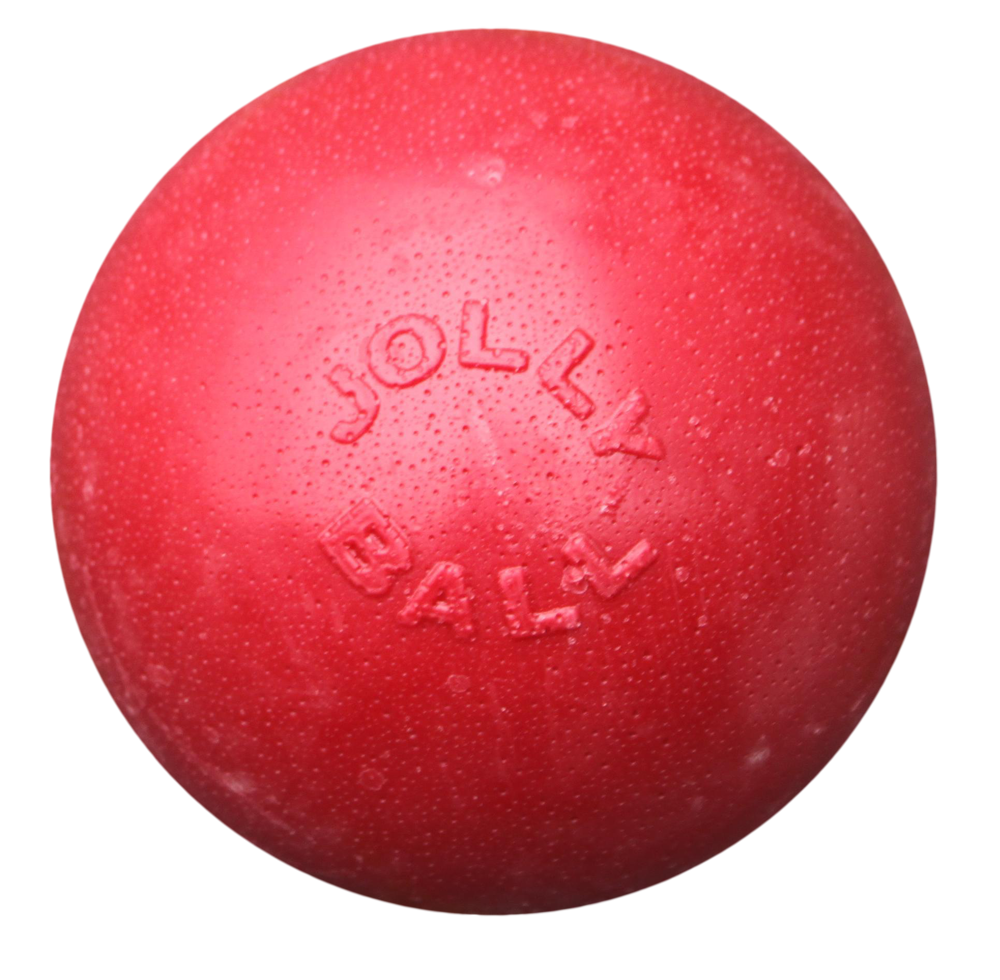 Jolly Bounce-n Play Hundeball, rot, Ø 20 cm