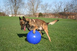 Jolly Pets Hundespielzeug Push-n-Play, Polyethylen, rot, Ø 35 cm