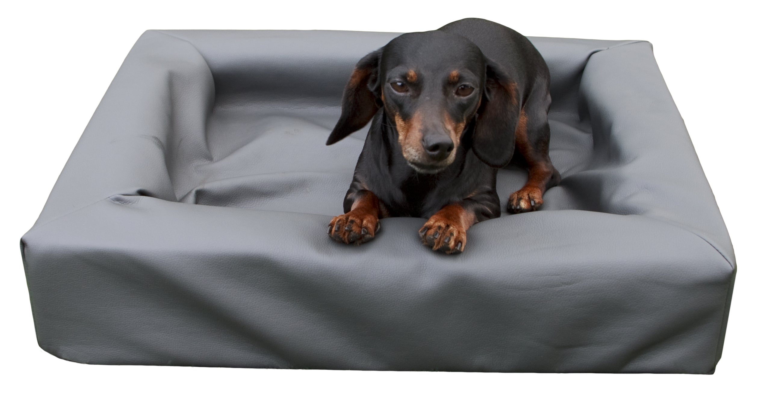 Hundebett PU-Leder, flüssigkeitsdicht, allergikergeeignet, hoher Rand, 50 x 60 cm
