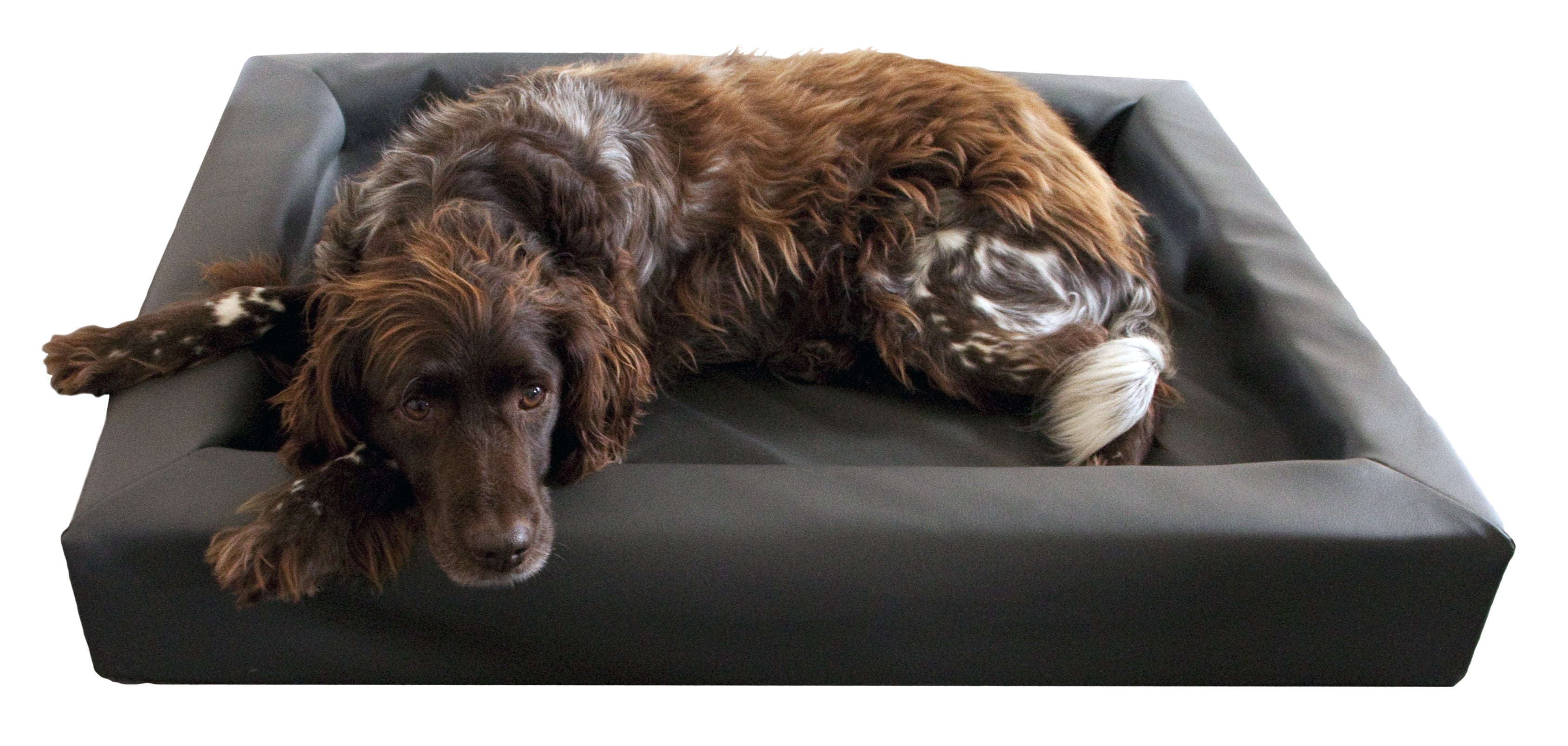 Hundebett PU-Leder, flüssigkeitsdicht, allergikergeeignet, hoher Rand, 50 x 60 cm