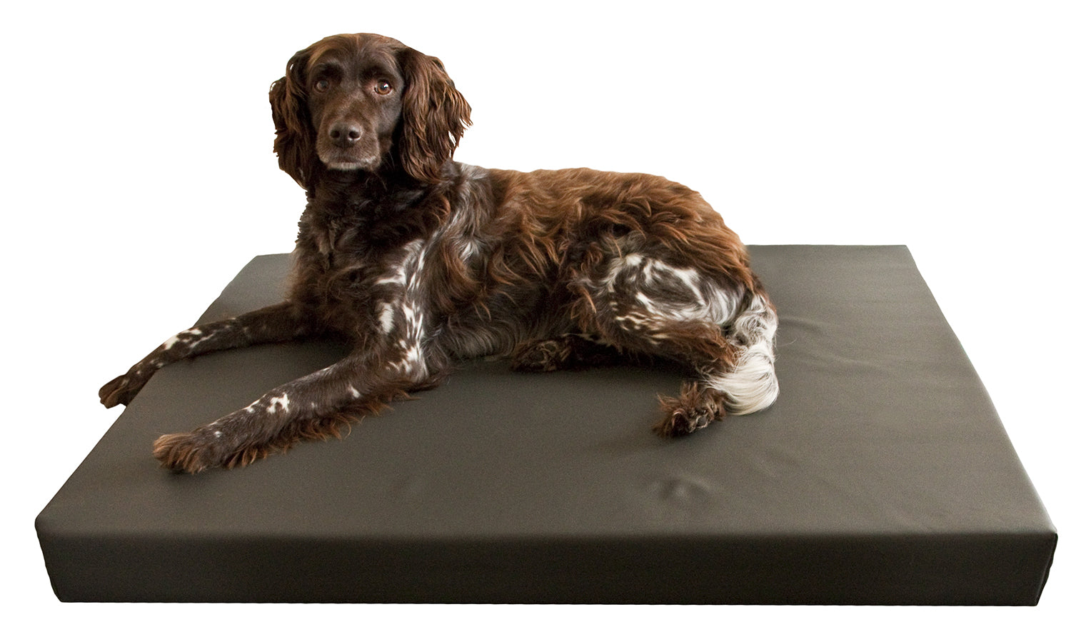 Holland Animal Care orthopädisches Hundebett, PU-Leder, Memory Foam, 90 x 125 cm