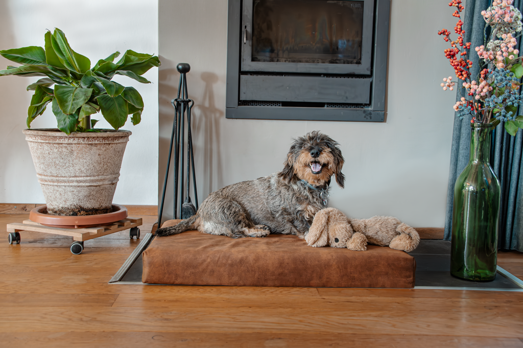 Let's Sleep Hundebett orthopädisch, XL 125 x 90 x 10 cm, Memory-Schaum, Cognac
