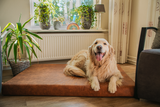 Let's Sleep Orthopädisches Hundebett M, 80 x 55 x 10 cm, Cognac
