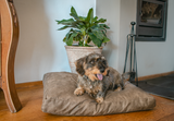 Let's Sleep Hundebett XL, 125 x 90 x 10 cm, Taupe