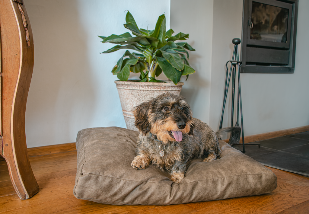 Let's Sleep Hundebett, Plush Pillow, L, 100 x 75 x 10 cm, Taupe