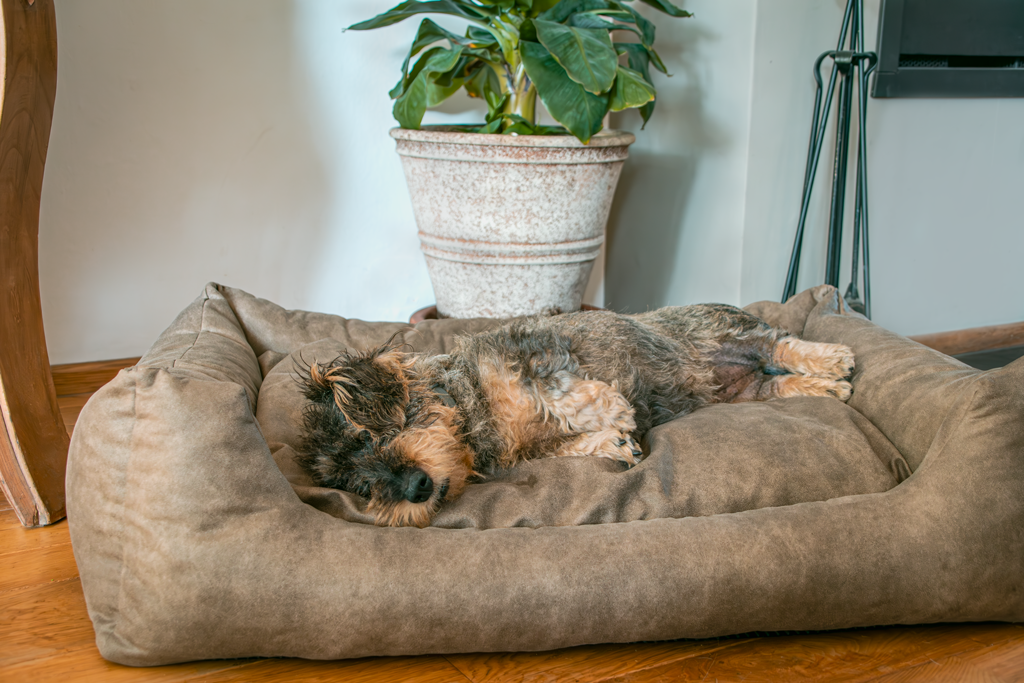 Let's Sleep Hundekorb mit Kissen, XL, 117 x 82 cm, Taupe