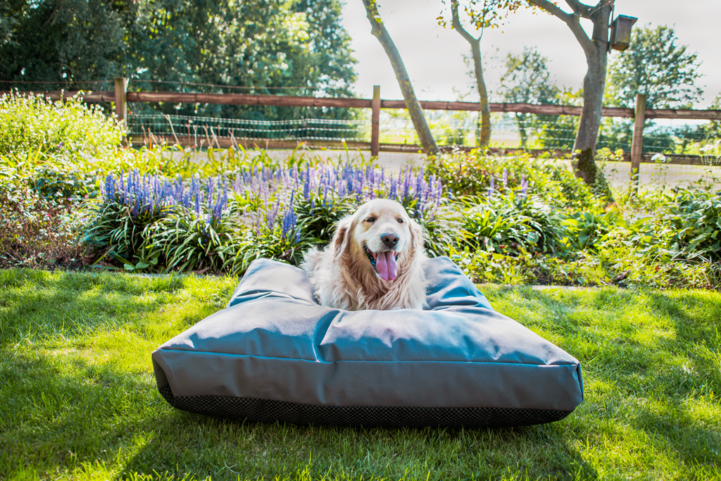 Let's Sleep Hundebett Outdoor, Cushy Cloud, L, 100 x 75 x 10 cm, anthrazit