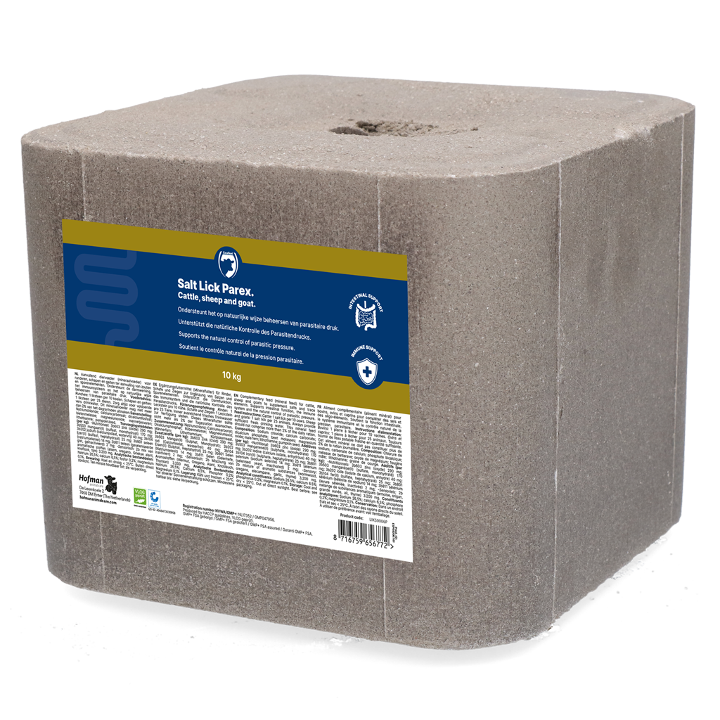 Excellent Mineralleckstein Parex 10 kg