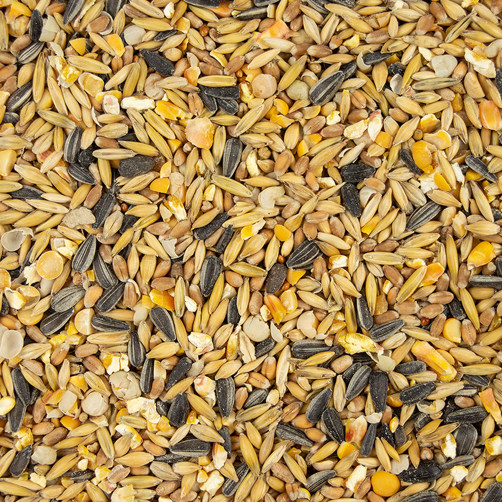 My Little Farm - Bio-Entenkorn 2 kg