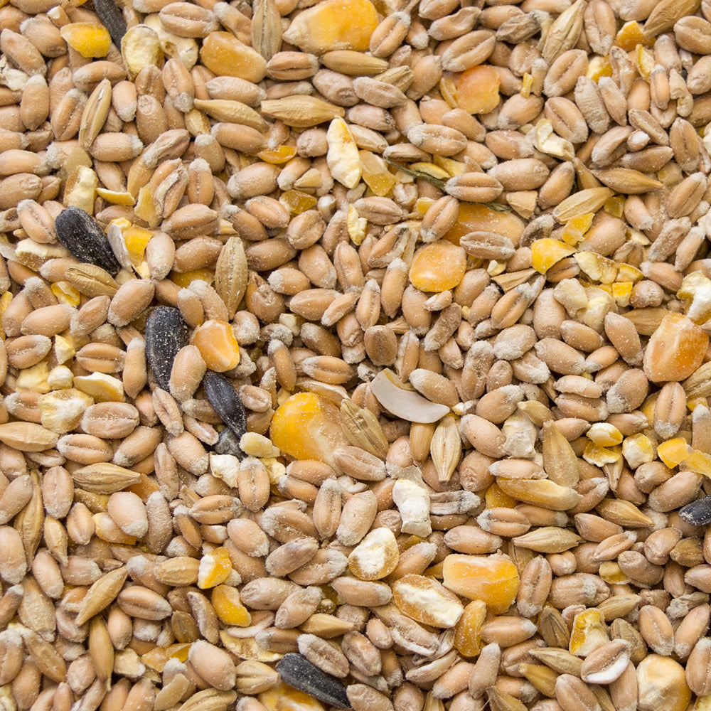 My Little Farm - Bio-Hennenkorn 2 kg