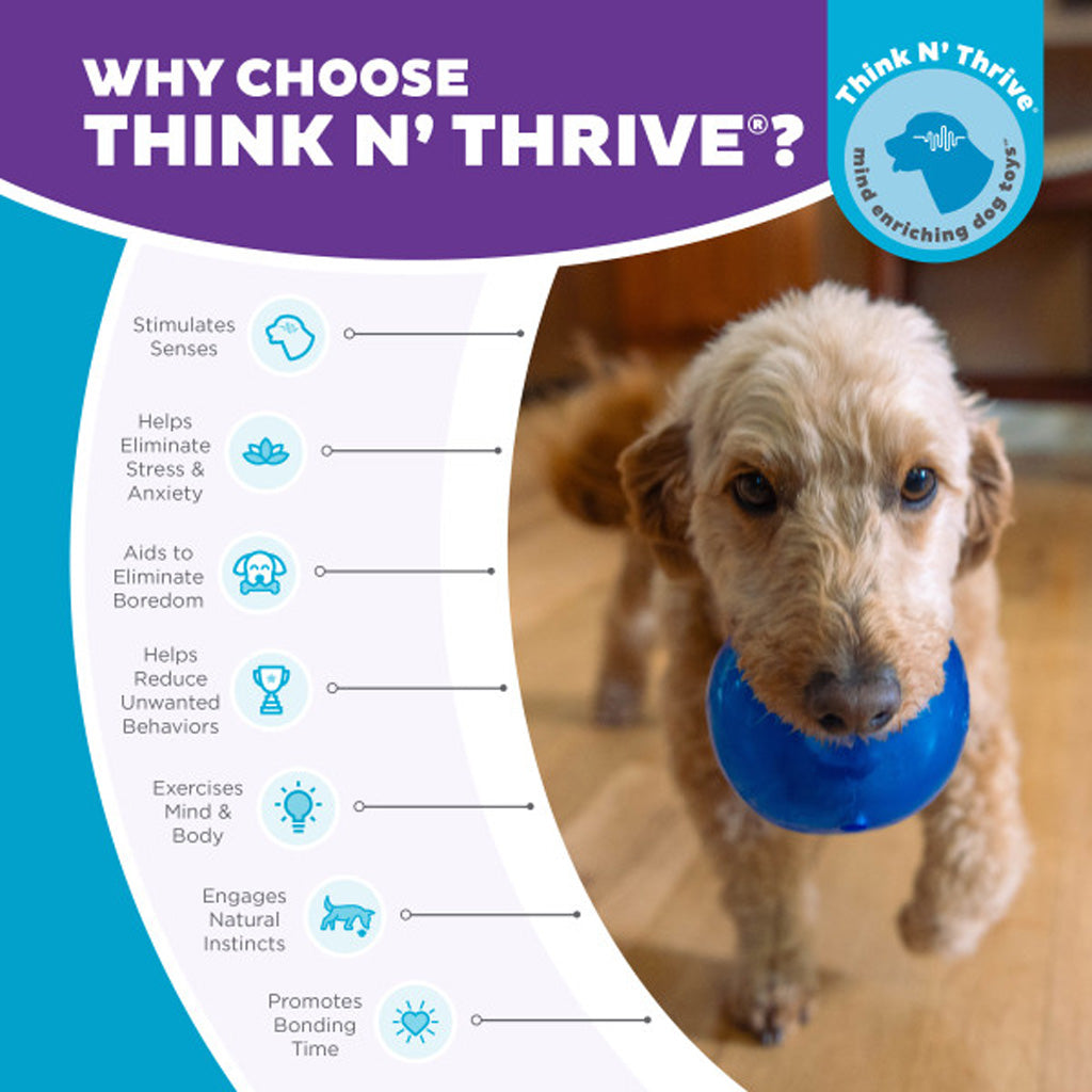 Outward Hound Hundespielzeug Orbee-Tuff Snoop, M, blau, 10 x 10 cm