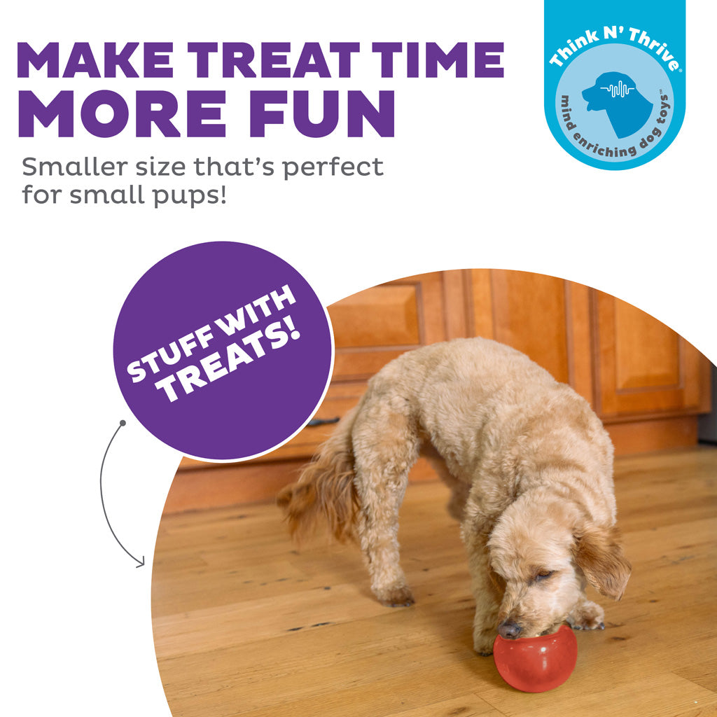 Outward Hound Hundespielzeug Orbee-Tuff Snoop, S, Rot, Ø 9,5 cm