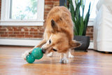 Outward Hound Hundespielzeug Double-Tuff, befüllbar, Minzduft, TPE, Größe M, blau, 10 x 6 cm