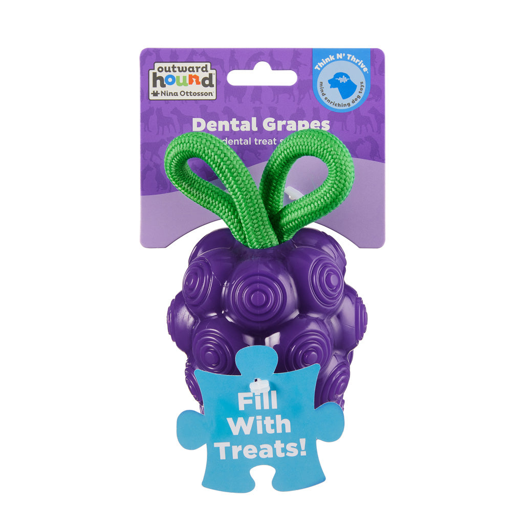 Outward Hound Hundespielzeug Dental Grapes, Zahnpflege, TPE, mit Seil