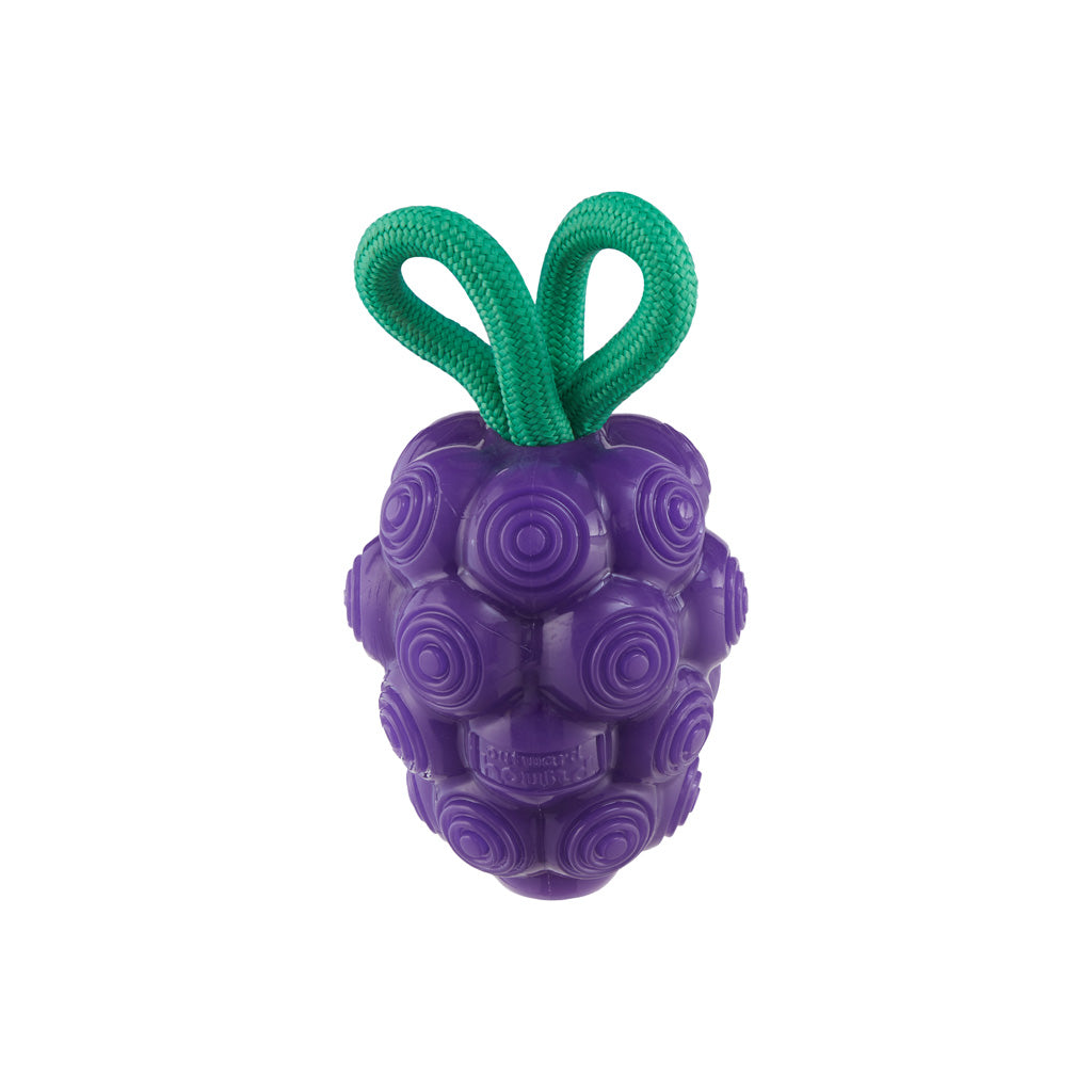 Outward Hound Hundespielzeug Dental Grapes, Zahnpflege, TPE, mit Seil