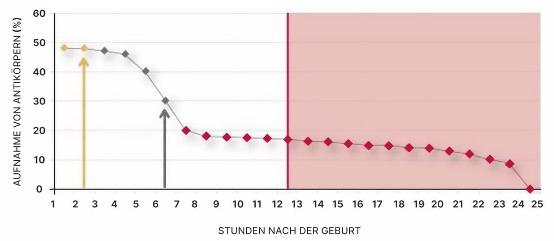Kolostralmilchpulver Colstar Plus für Lämmer, 10 x 25 g