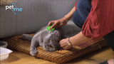 Pet+Me Katzenbürste, Langhaar, grün