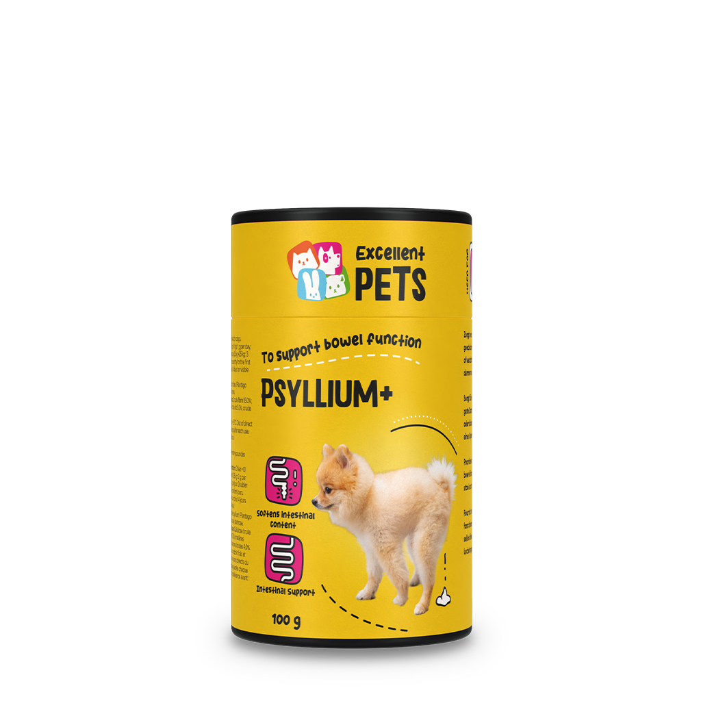 Excellent Pets für Hunde, Psyllium, 100 g