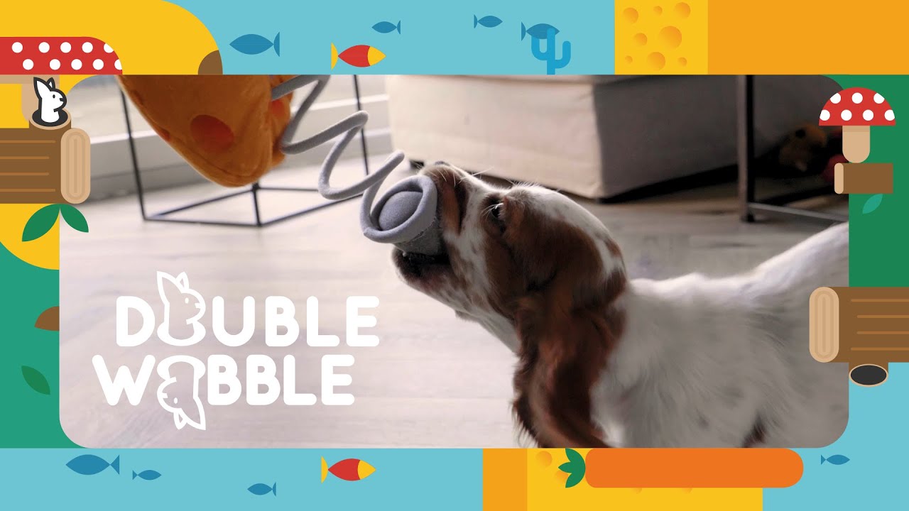 Hundespielzeug, Double Wobble, Karotte, mit Quietschern, 24 x 24 cm