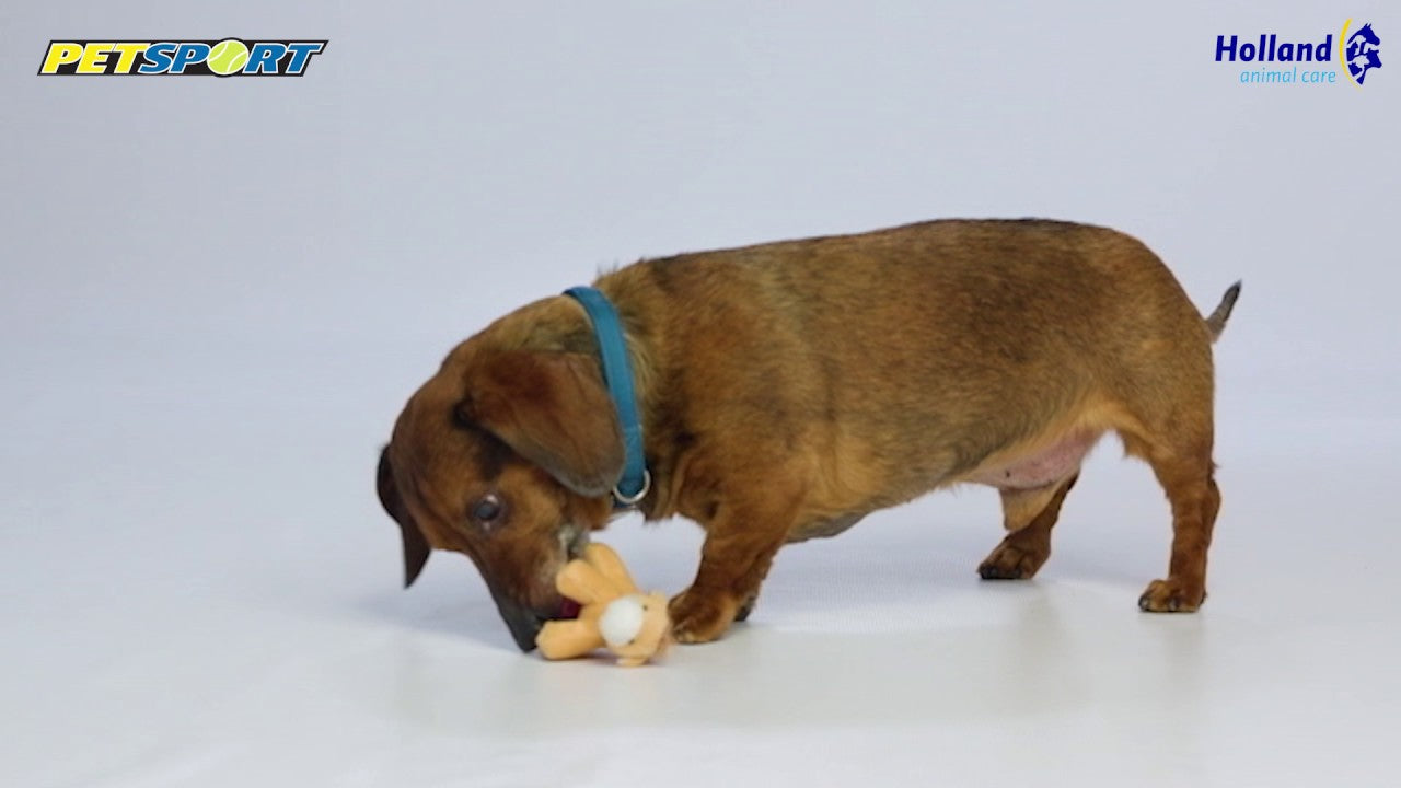 Petsport Hundespielzeug Teddy, braun, mit Quietscher, 10 cm