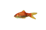 Robocat Katzenspielzeug Fisch Goldfisch, beweglich, MADNIP-Füllung, 30 cm