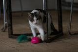 Robocat Katzenspielzeug Maus, interaktiv, Bewegungssensor, MADNIP, mit Beleuchtung, rosa