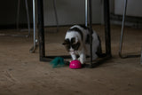 Robocat Katzenspielzeug Maus, interaktiv, Bewegungssensor, MADNIP, mit Beleuchtung, rosa