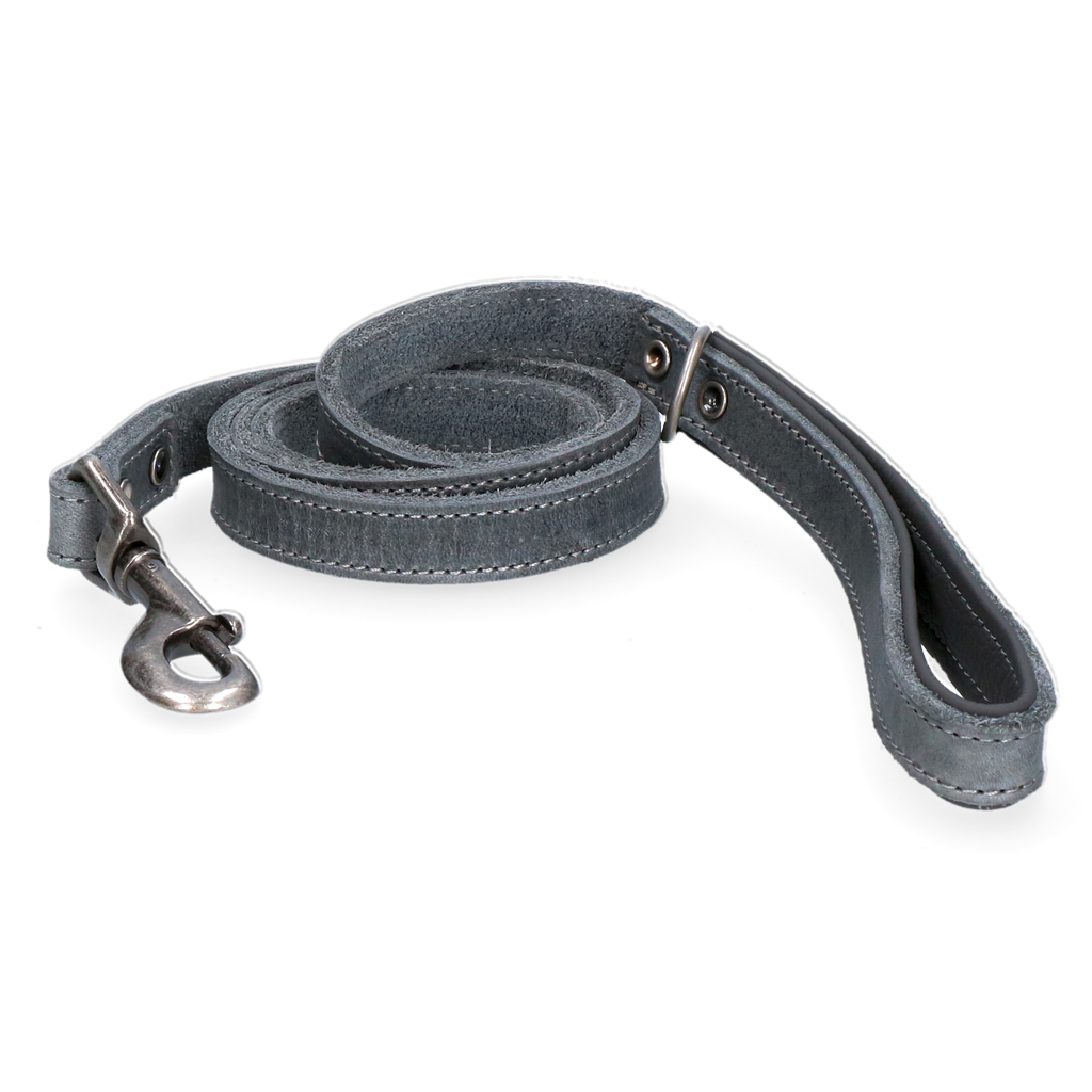 Spotted! Pro Hundeleine Leder, grau, 130 cm x 1,8 cm