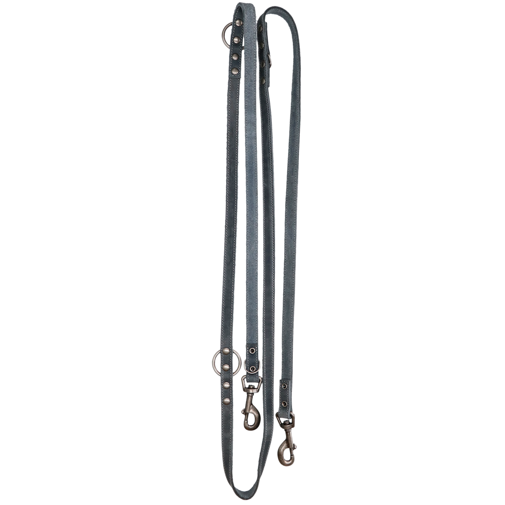 Spotted! Pro Hundeleine, Leder, grau, 1,6 x 250 cm