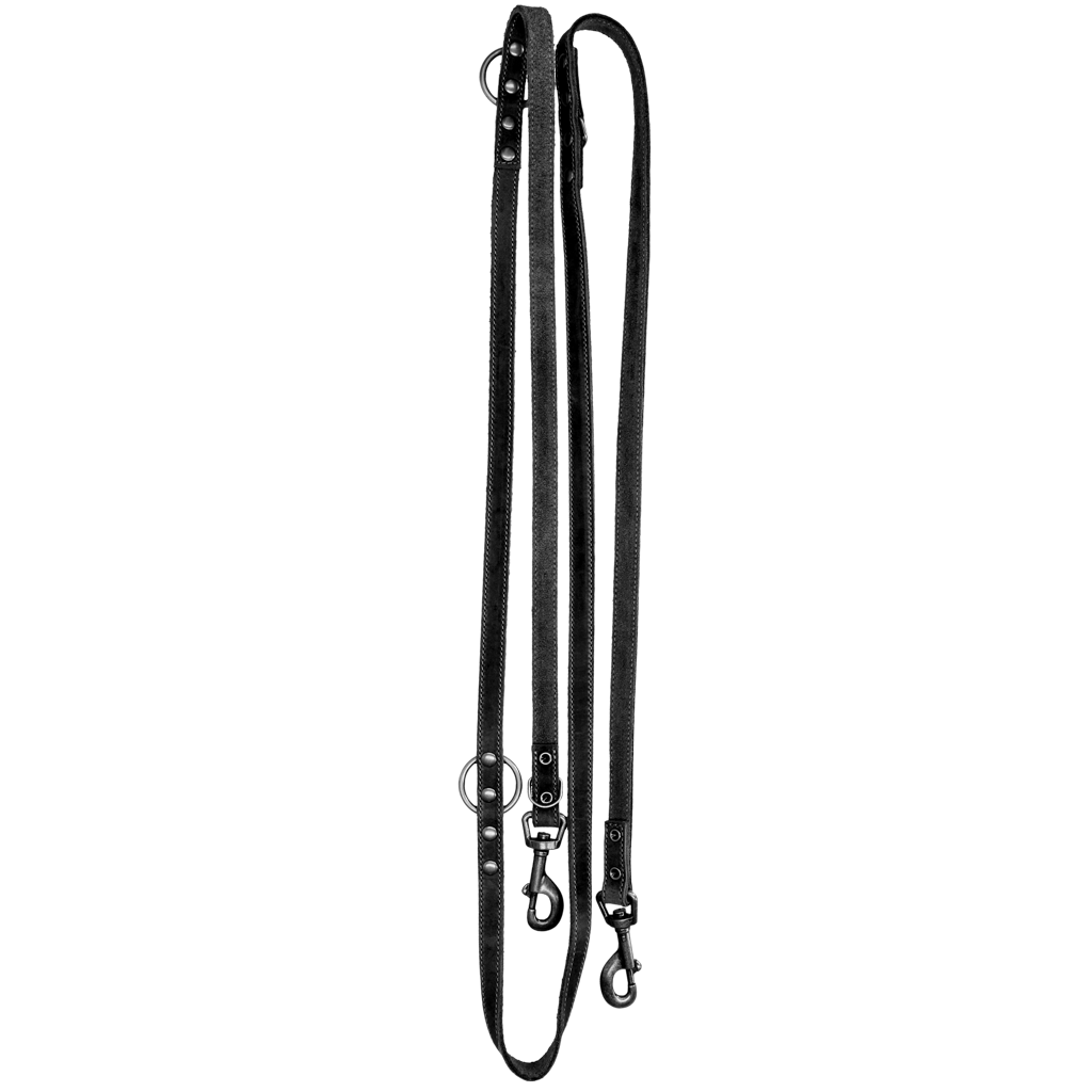 Spotted! Pro Trainingsleine, Leder, schwarz, 2 x 250 cm