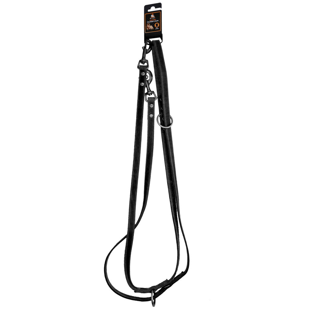 Spotted! Pro Trainingsleine, Leder, schwarz, 2 x 250 cm