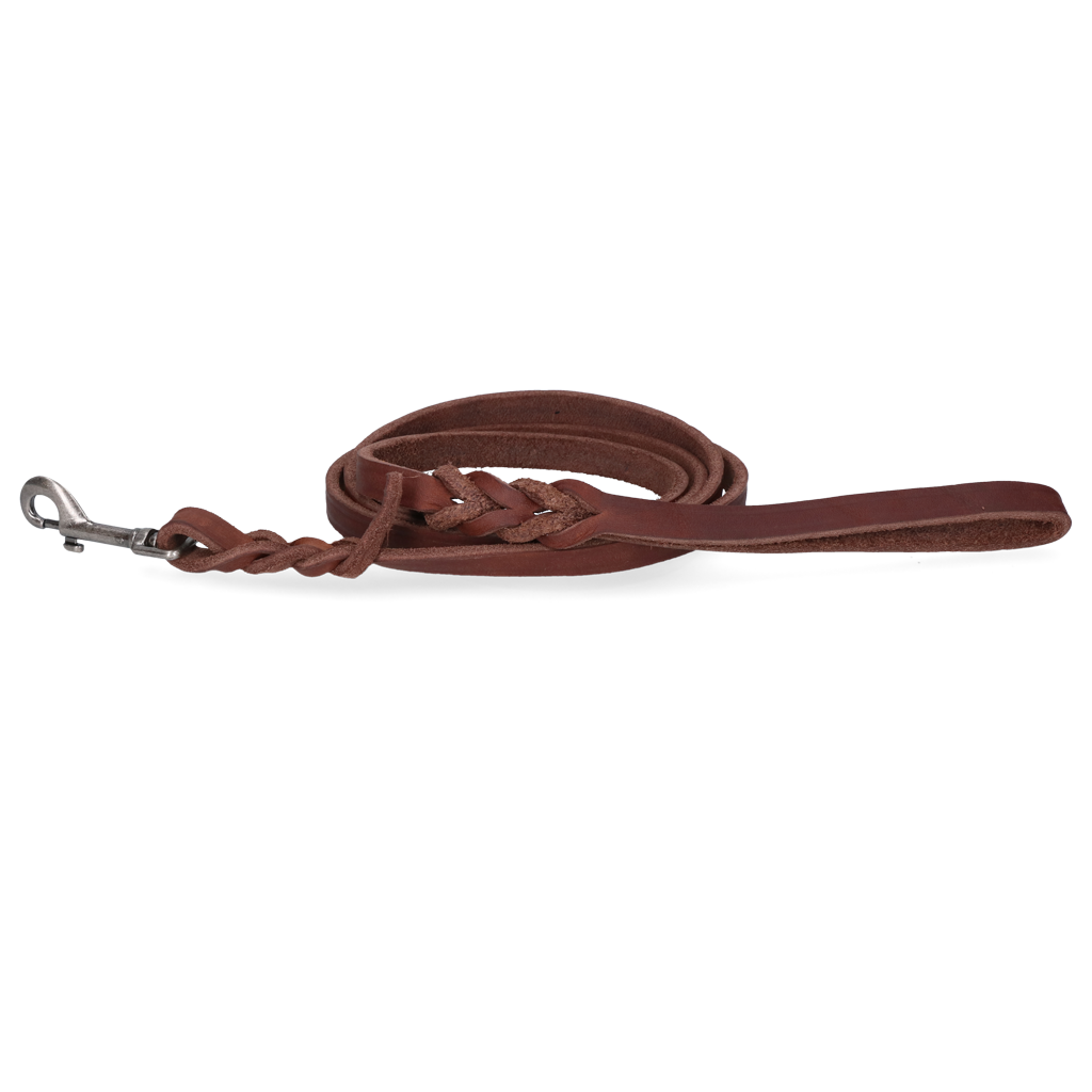 Spotted! Pro Leder Führleine 1,8 cm breit, 180 cm lang