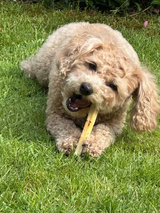 SwissCowers Käse-Snack mit Meeresalgen, Größe S Hund, 80 g