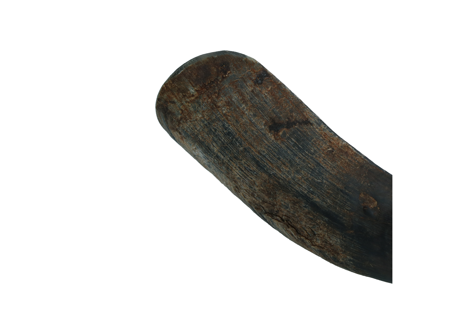 Viking halbes Rinder-Kauhorn, Größe L, für Hunde 5–15 kg