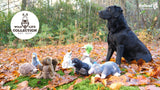 Hundespielzeug Taube, Plüsch, mit Tau und Quietscher