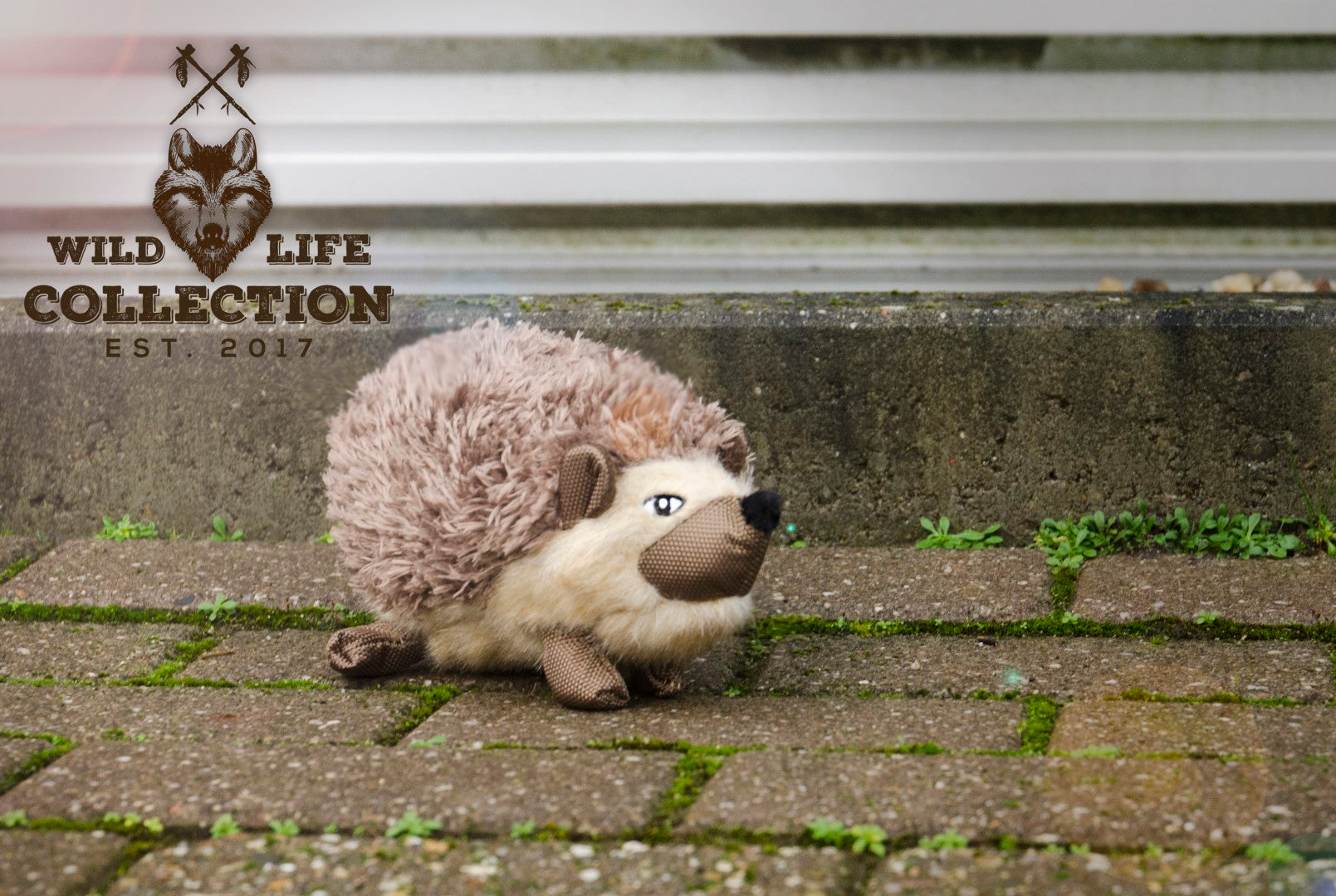 Hundespielzeug Igel, Plüsch, mit Quietscher, Wild Life Collection