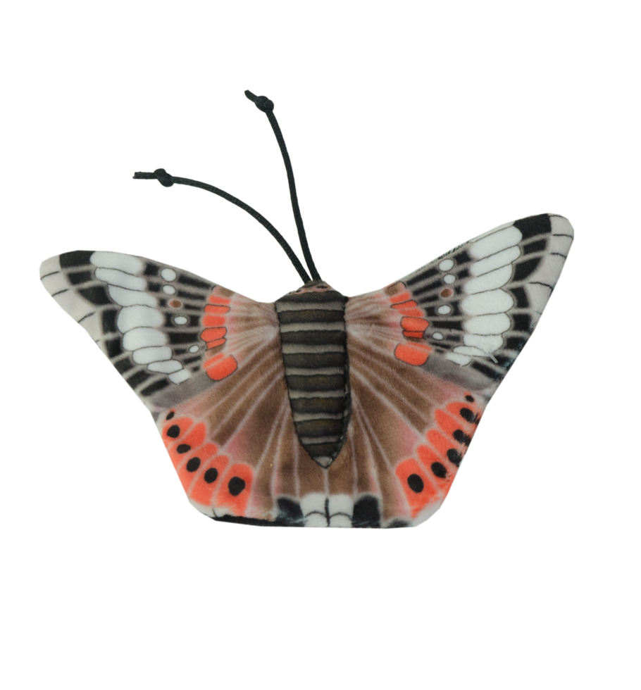 Wild Life Collection Katzenspielzeug Admiral Schmetterling, Katzenminze
