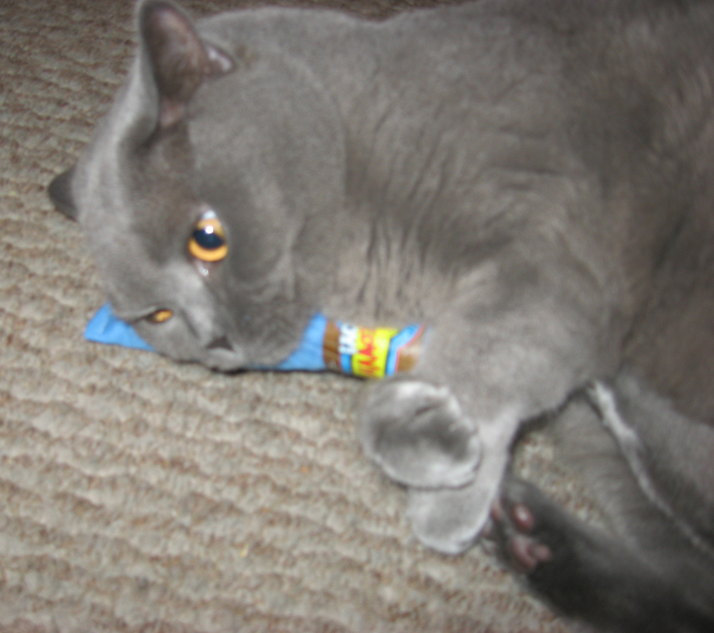 Yeowww! Katzenspielzeug Cigar –  Baumwoll-Spielzeug mit Katzenminze