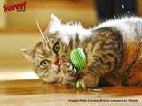 Yeowww! Katzenspielzeug, Katzenminze-Fische, 17,7 cm, 3 Stk