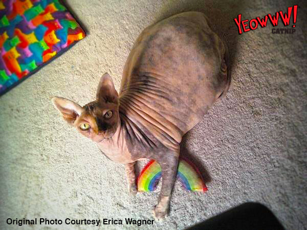 Yeowww! Katzenspielzeug Rainbow, Katzenminze, Baumwolle, 17,7 cm