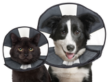 Zenpet Procone Halskragen verschiedene Größen (Hunde & Katzen)
