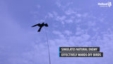 Birdshield Glasfaserstab, für Vogeldrachen