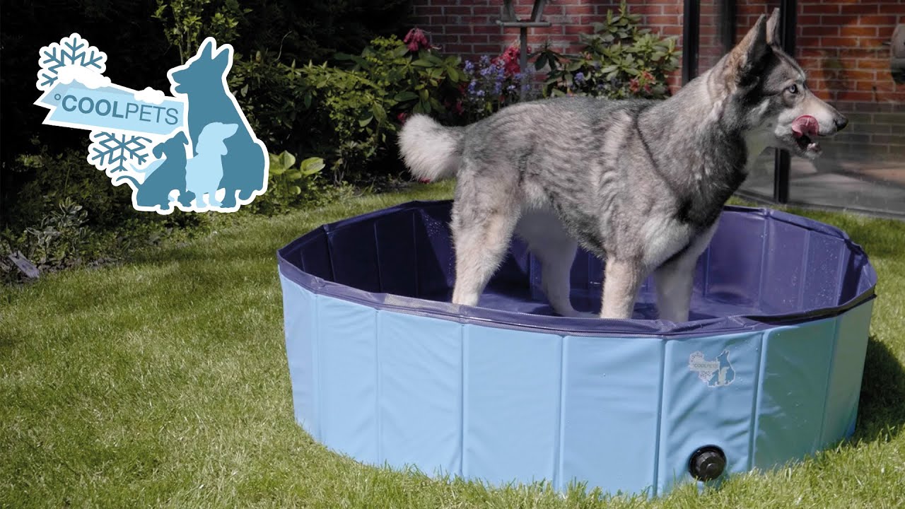 CoolPets Hundepool, Ø 80 x 20 cm