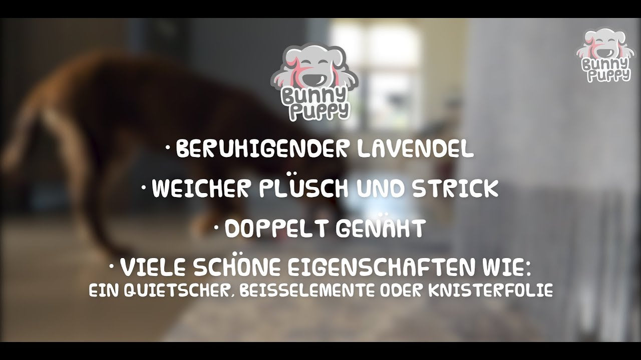 Bunny Puppy Hundekuscheltier, Plüsch, Strickstoff, TPR-Gummi, Lavendelfüllung, mit Quietscher, für Welpen und kleine Hunde