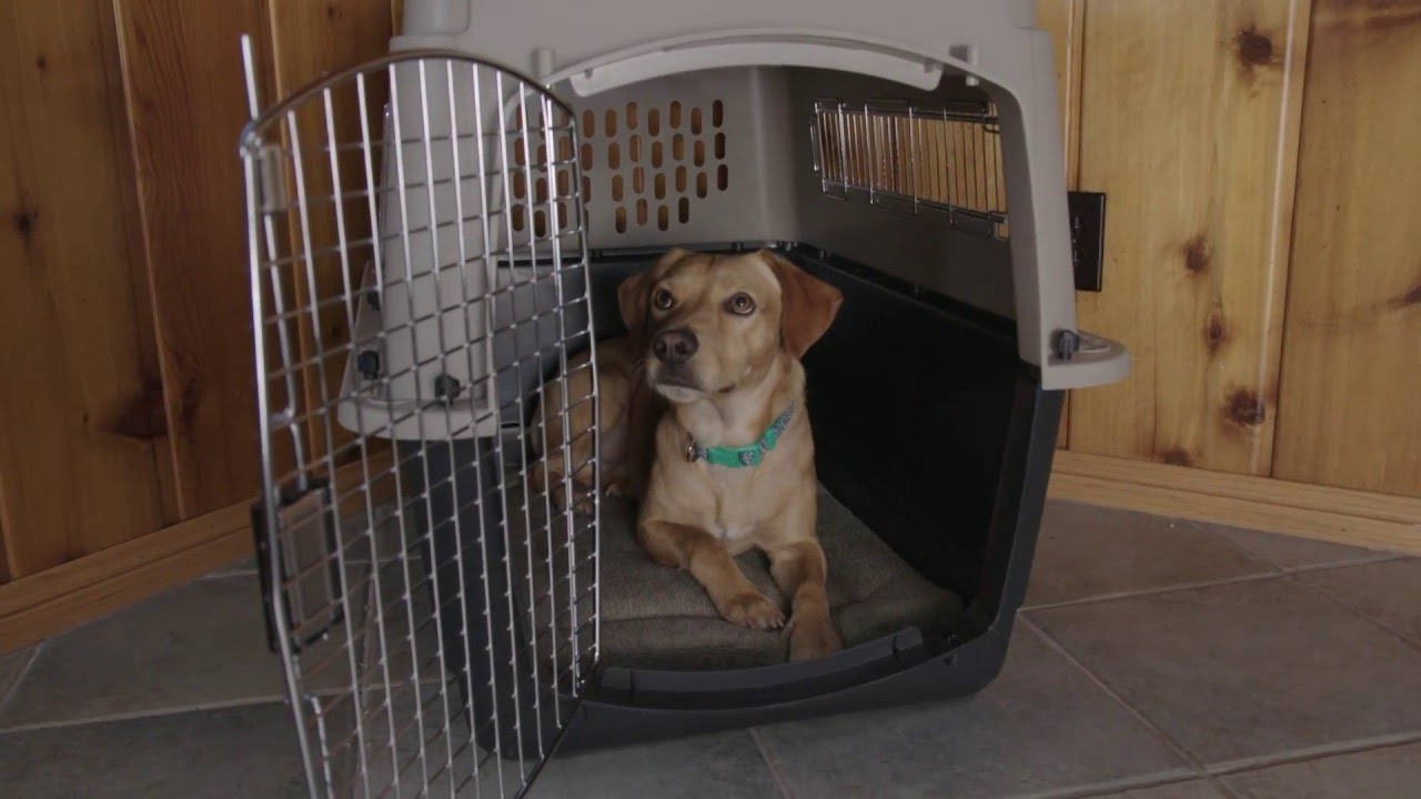 Petmate Ultra Vari Kennel stabile Reise-Transportbox für Hund und Katze
